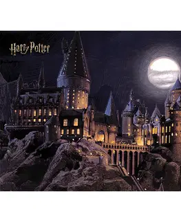 Tapety Detská fototapeta Harry Potter Hogwarts Moon 252 x 182 cm, 4 diely