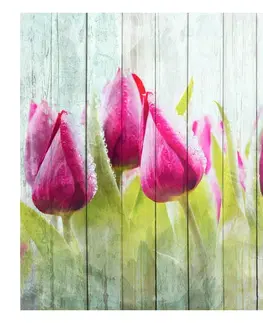 Tapety kvety Fototapeta tulipány na dreve - Tulips on white wood