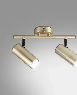 Moderné lampy do obývačky Luster Colly 2X15W Zlatý LS2