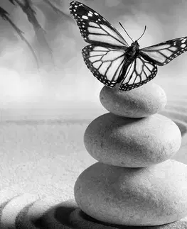 Čiernobiele obrazy Obraz rovnováha kameňov a motýľ v čiernobielom prevedení