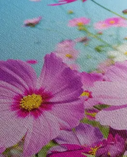 Obrazy kvetov Obraz lúka jarných kvetov