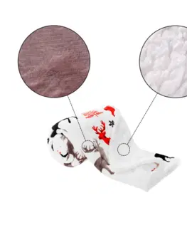 Deky Obojstranná baránková deka, biela, zimný motív, 150x200, ANIME