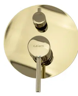 Kúpeľňové batérie CALANI CALANI - Podomietkový vaňový a sprchový set NEXOS BS zlatý CAL-B0020