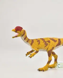 Hračky - figprky zvierat MAC TOYS - Dilophosaurus
