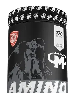 Komplexné Amino Amino 3850 - Mammut Nutrition 850 tbl.