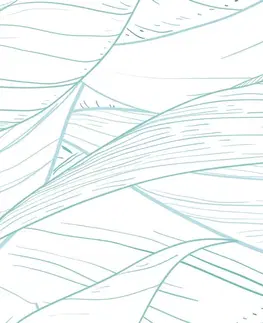 Tapety príroda Tapeta jemná štruktúra listu