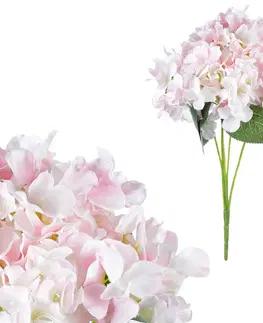 Kvety Puget hortenzií, 5 kvetov, 25 x 38 x 25 cm, ružovo-biela