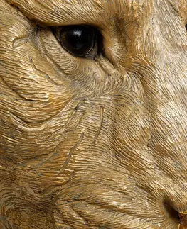Nástenné svietidlá KARE Nástenné svietidlo KARE Animal Tiger Head so zástrčkou