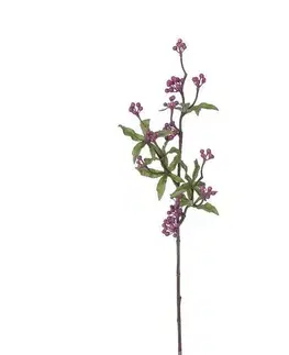 Kvety Umelá vetva s listami a bobuľami, v. 71 cm