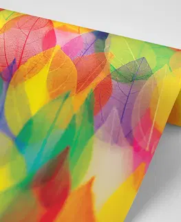 Tapety príroda Tapeta listy v jesenných farbách