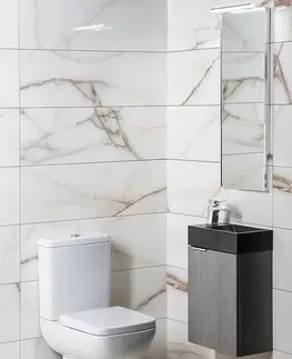 Kúpeľňa SAPHO - LATUS X umývadlová skrinka 39,4x50x22cm, dub strieborný LT110-1111