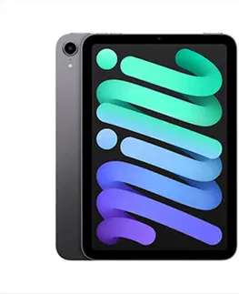 Tablety Apple iPad mini (2021) Wi-Fi 256GB, kozmická sivá