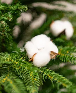 Vianočné dekorácie Dekoratívne hlavičky bavlny, 12 ks
