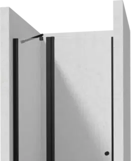 Sprchovacie kúty DEANTE/S - Sprchové dvere výklopné so stenovým profilom 100 KTSUN43P+KTS_N00X KERRIA/0137