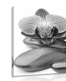 Čiernobiele obrazy Obraz masážne wellness kamene v čiernobielom prevedení
