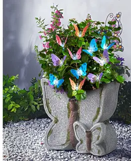 Drobné dekorácie a doplnky Nádoba na kvetiny "Motýľ"