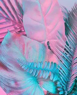 Samolepiace tapety Samolepiaca tapeta palmové listy v neobyčajných farbách