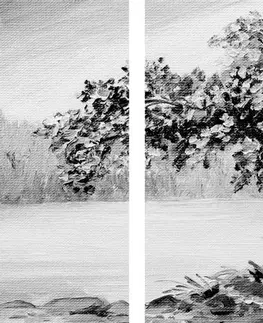 Čiernobiele obrazy 5-dielny obraz orientálna čerešňa v čiernobielom prevedení