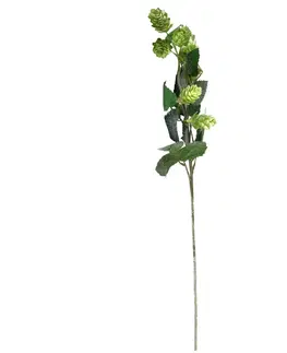 Kvety Umelá vetvička chmeľu, 25 x 66 x 10 cm