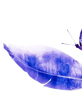 Samolepiace tapety Samolepiaca tapeta pierko s motýľom vo fialovom prevedení