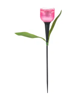 Záhradné lampy Solárna lampa Tulipán, 30,5 cm