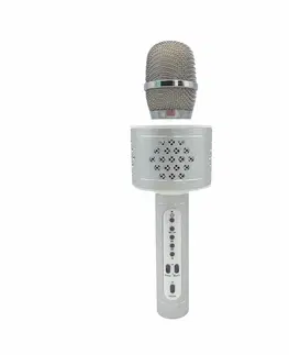 Drevené hračky Teddies Mikrofón karaoke Bluetooth, strieborná, na batérie, s USB káblom