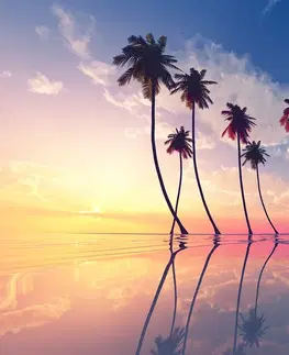Samolepiace tapety Samolepiaca tapeta západ slnka nad tropickými palmami