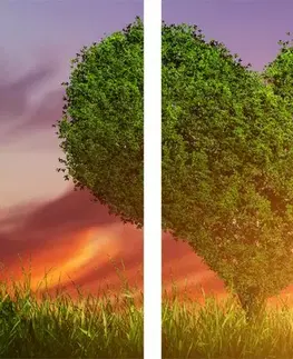 Obrazy láska 5-dielny obraz strom v tvare srdca na lúke