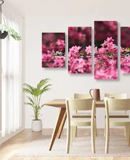 Obrazy kvetov 5-dielny obraz detailné kvety čerešne