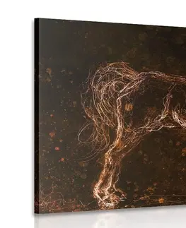 Abstraktné obrazy Obraz abstraktný kôň
