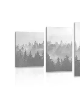 Čiernobiele obrazy 5-dielny obraz hmla nad lesom v čiernobielom prevedení