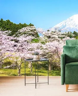 Tapety príroda Fototapeta sopka Fuji