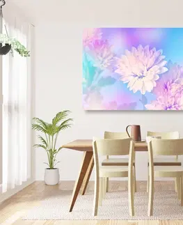 Obrazy kvetov Obraz kvet chryzantémy