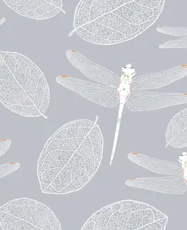 Tapety zvieratá Tapeta lietajúce vážky