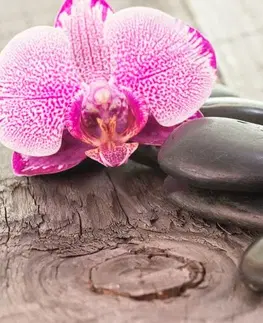 Obrazy Feng Shui Obraz orchidea a Zen kamene na drevenom podklade