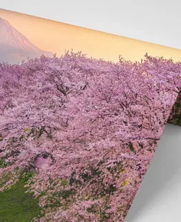 Samolepiace tapety Samolepiaca fototapeta nádherné Japonsko