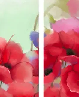 Obrazy kvetov 5-dielny obraz nádherné kreslené maky
