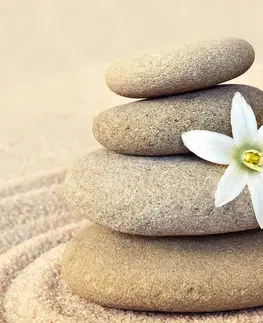 Obrazy Feng Shui Obraz biely kvet a kamene v piesku