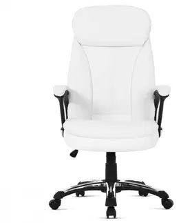Kancelárske stoličky Kancelárske kreslo KA-Y287 Autronic