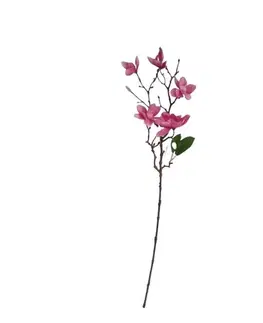 Kvety Umelá vetvička Magnólia tmavoružová, 64 cm