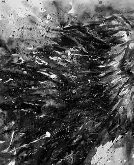Čiernobiele tapety Tapeta kráľ zvierat v čiernobielom akvareli