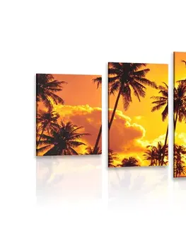 Obrazy prírody a krajiny 5-dielny obraz kokosové palmy na pláži