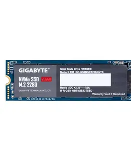 Pevné disky GIGABYTE 256 GB NVMe SSD disk, M.2, (1700 MBs, 1100 MBs) GP-GSM2NE3256GNTD