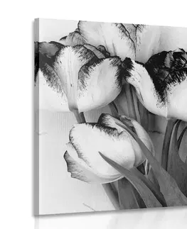Čiernobiele obrazy Obraz jarné tulipány v čiernobielom prevedení