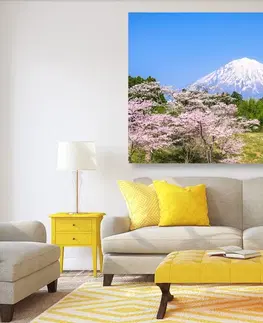 Obrazy prírody a krajiny Obraz sopka Fuji