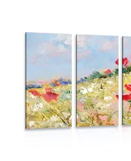 Obrazy kvetov 5-dielny obraz maľované maky na lúke