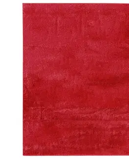 Kožušinové koberce Umelá Kožušina Caroline 2, 120/160cm, Červená