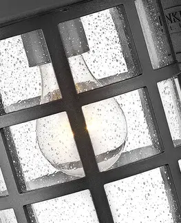 Vonkajšie nástenné svietidlá HINKLEY Vonkajšie svietidlo Freeport M, lucerna, čierna