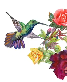 Vintage a retro tapety Tapeta kolibríky s kvetmi