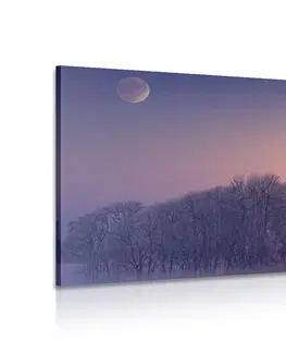 Obrazy prírody a krajiny Obraz spln mesiaca nad dedinou
